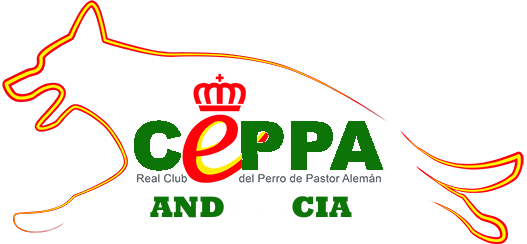 Monográficas RCEPPA